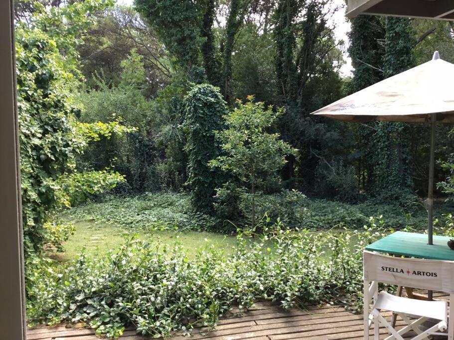 Casa Siempre Сasa de vacaciones *